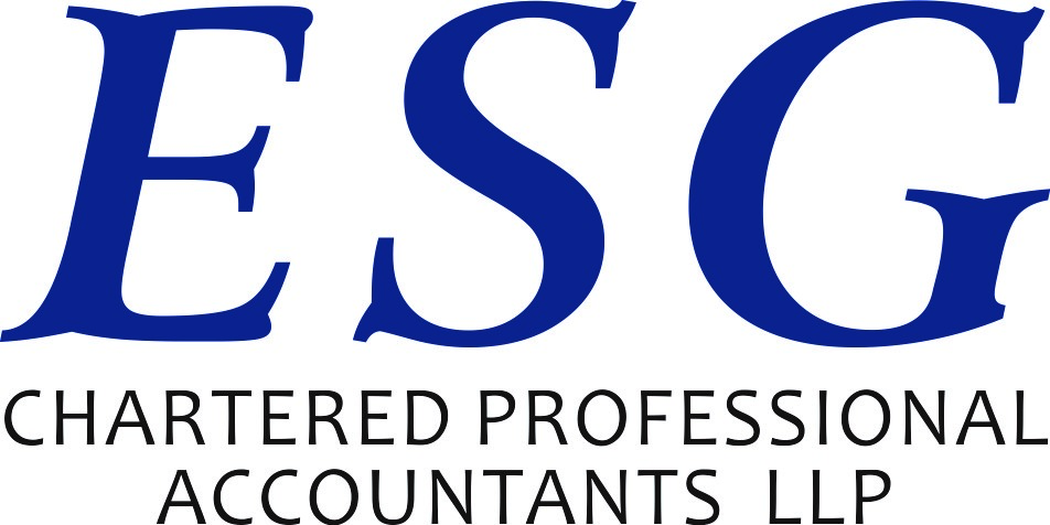 Esg Chartered Professional Accountants Llp: Home