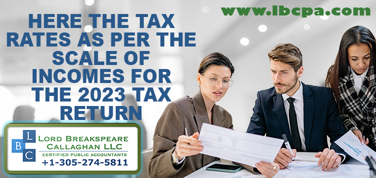 Tax Rates for the 2023 Tax Season 
